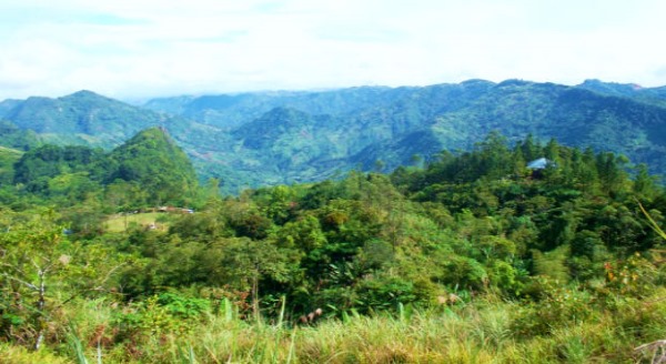  Mt. Manunggal - 